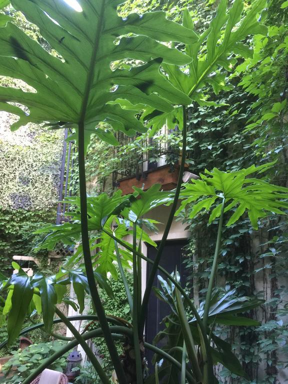 מונטריאול Sir Montcalm Gite B&B מראה חיצוני תמונה